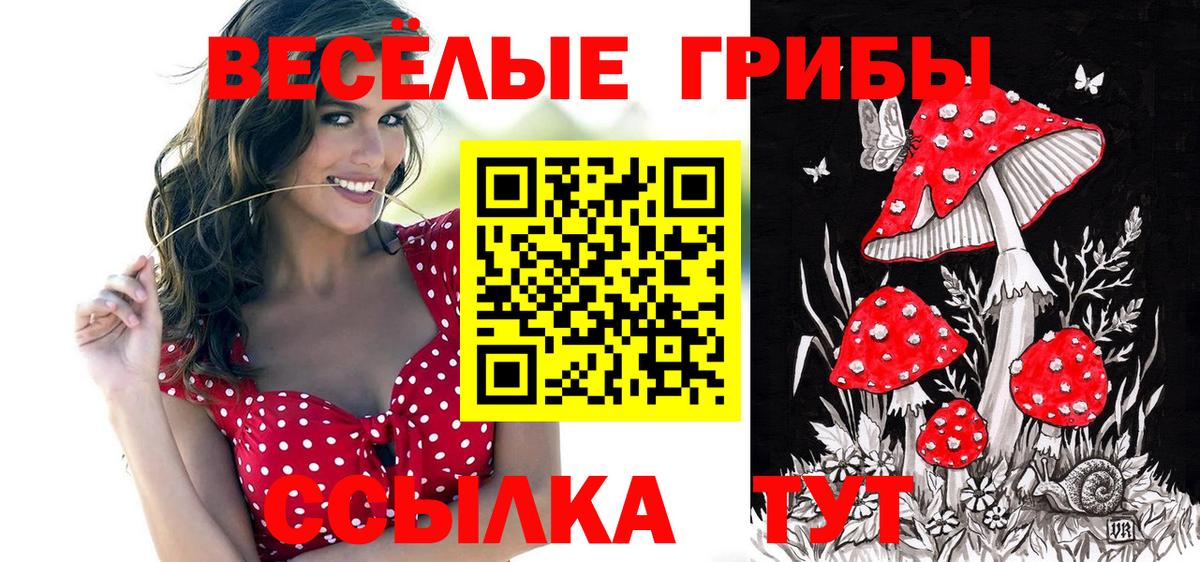 Псилоцибиновые грибы Cubensis Долгопрудный